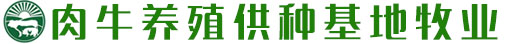 体育直播